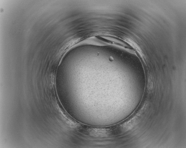 X0000086890849200704231126