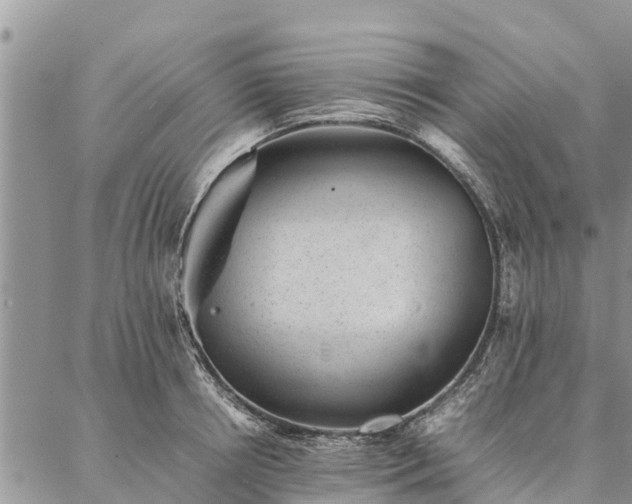 X0000086890850200704231126