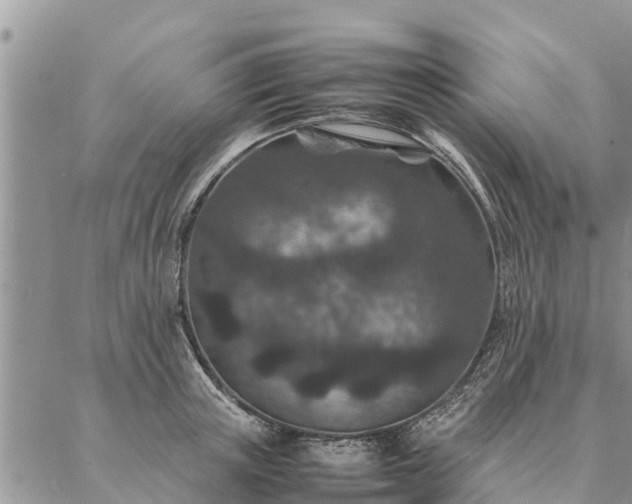 X0000086890851200704231126