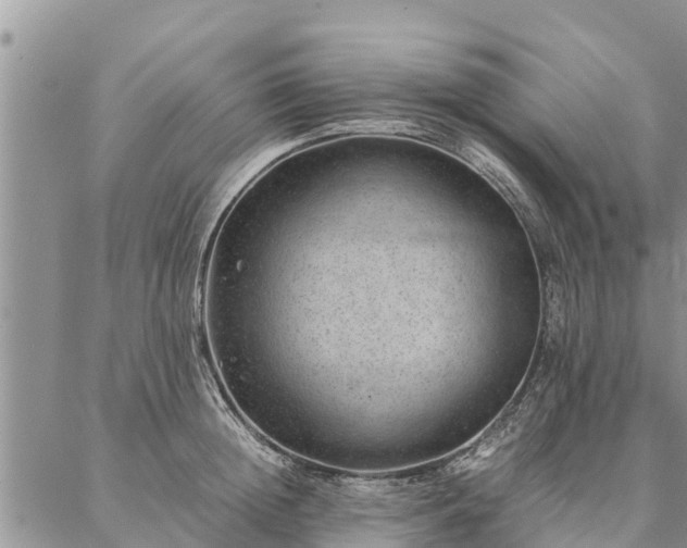 X0000086890852200704231126