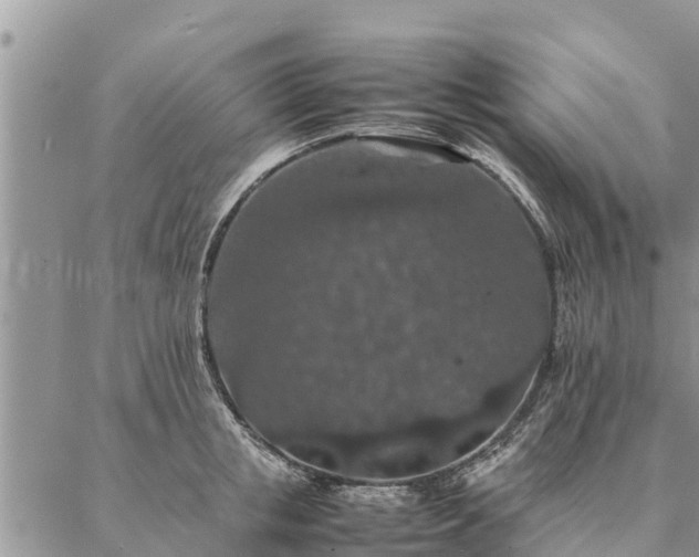 X0000086890853200704231126