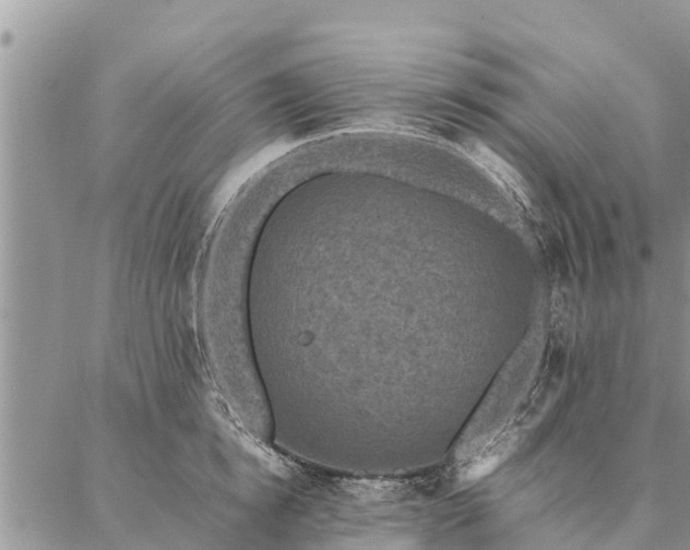 X0000086890854200704231126