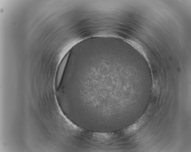 X0000086890855200704231126