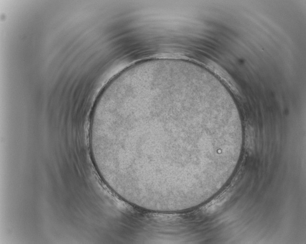 X0000086890856200704231126