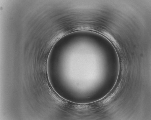 X0000086890857200704231126