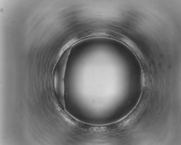 X0000086890858200704231126