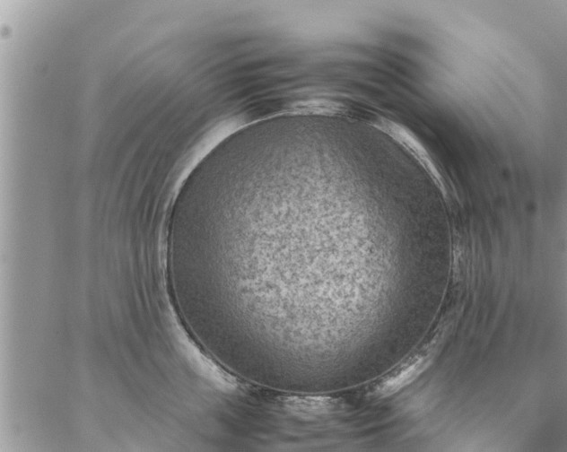 X0000086890859200704231126