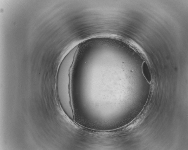 X0000086890860200704231126