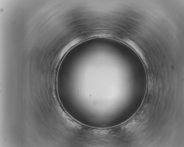 X0000086890861200704231126