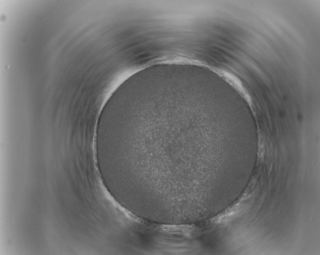 X0000086890863200704231126