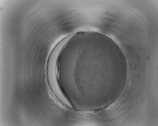 X0000086890864200704231126