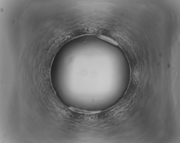 X0000086890865200704231125