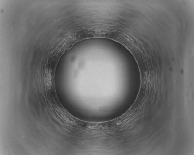 X0000086890866200704231125