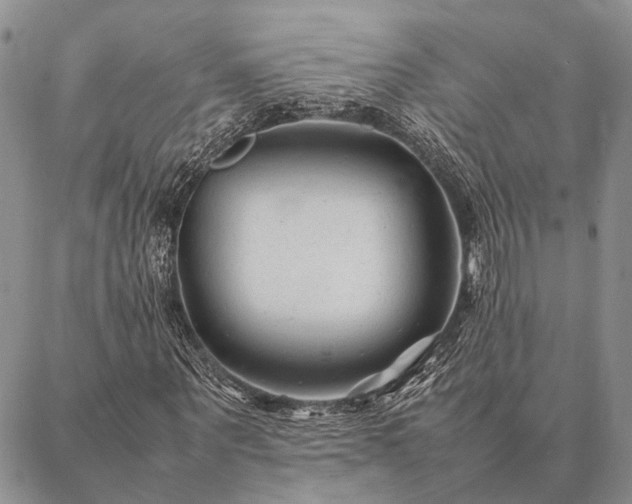 X0000086890867200704231125