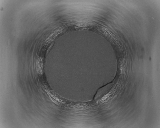 X0000086890868200704231125