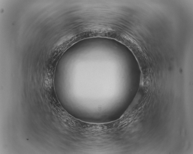 X0000086890869200704231125