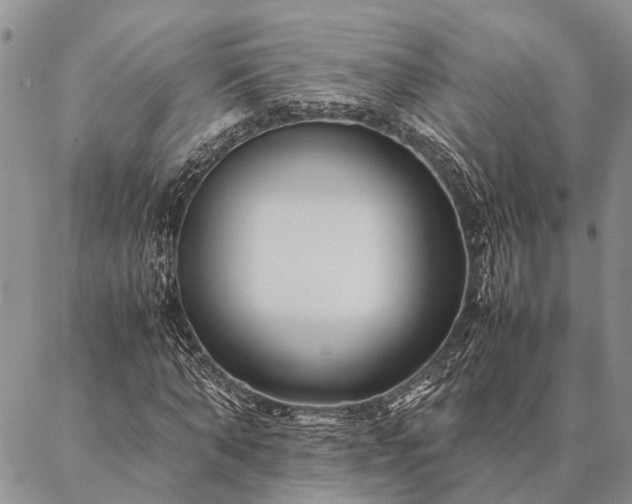 X0000086890870200704231125