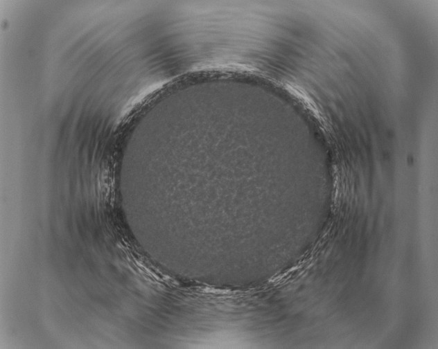 X0000086890872200704231125