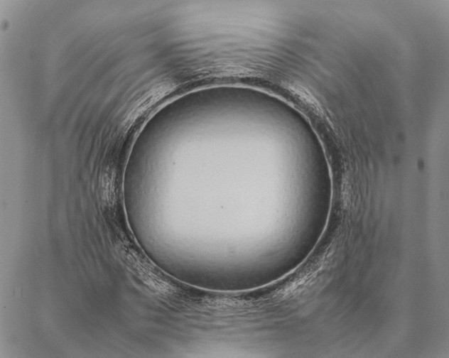 X0000086890873200704231125