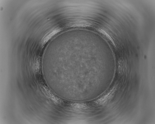 X0000086890874200704231125