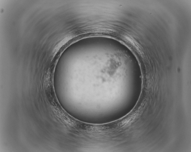 X0000086890875200704231125