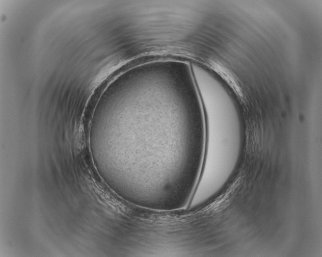 X0000086890876200704231125