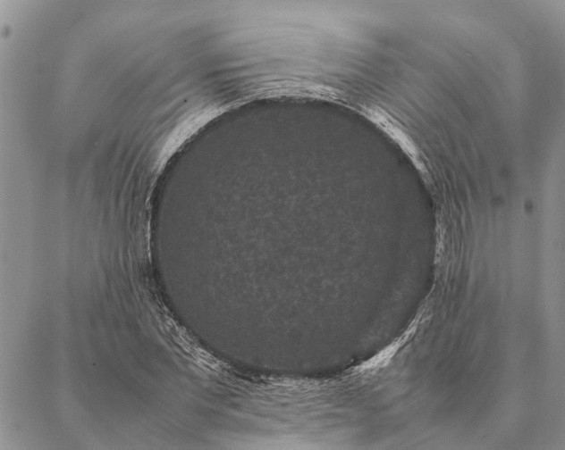 X0000086890877200704231125