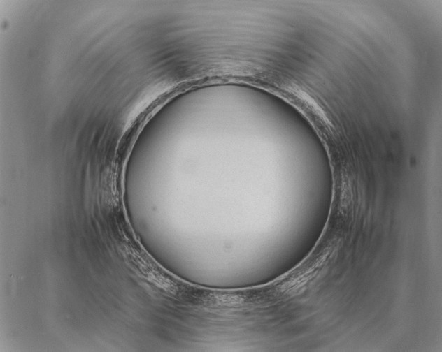 X0000086890878200704231125