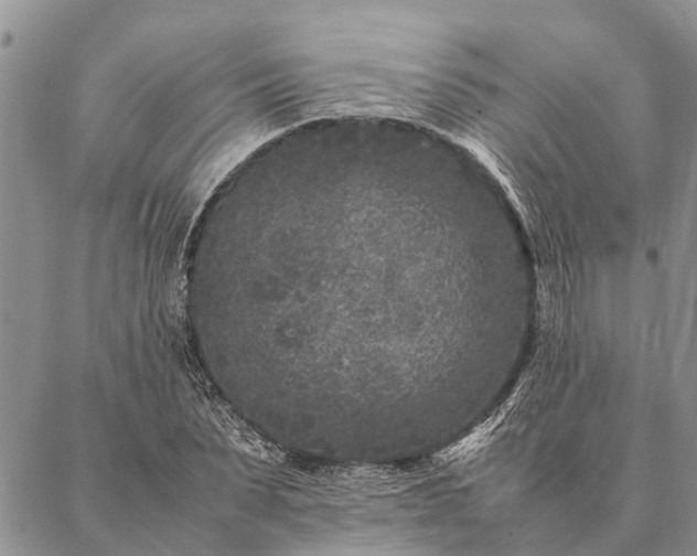 X0000086890879200704231125