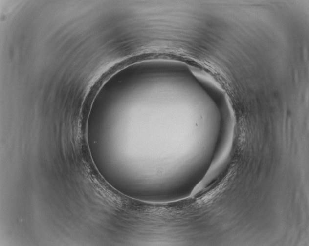 X0000086890880200704231125