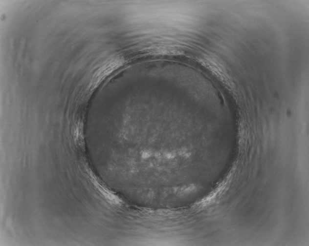 X0000086890881200704231125