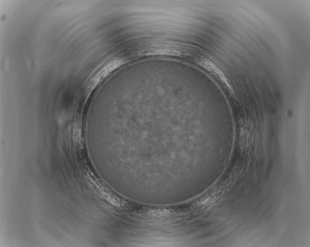 X0000086890882200704231125