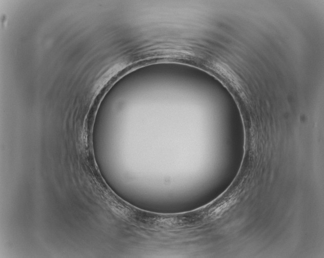 X0000086890883200704231125