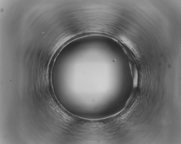 X0000086890884200704231125