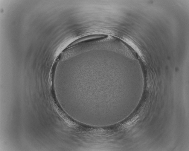 X0000086890885200704231125