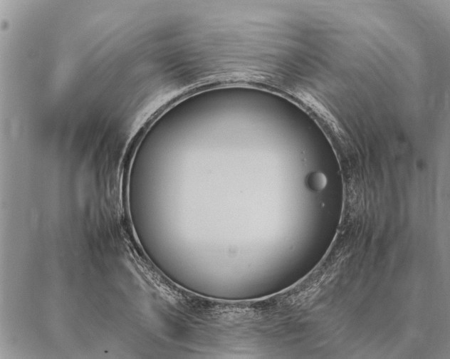 X0000086890886200704231125