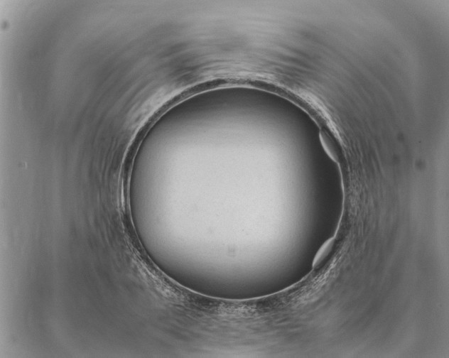 X0000086890887200704231125