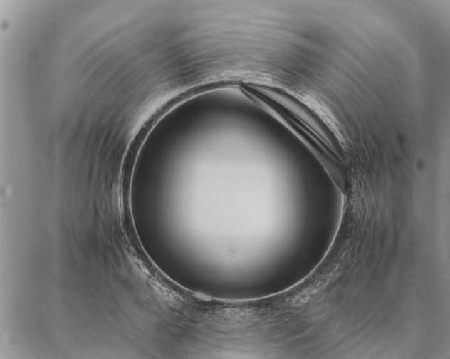 X0000086890888200704231125