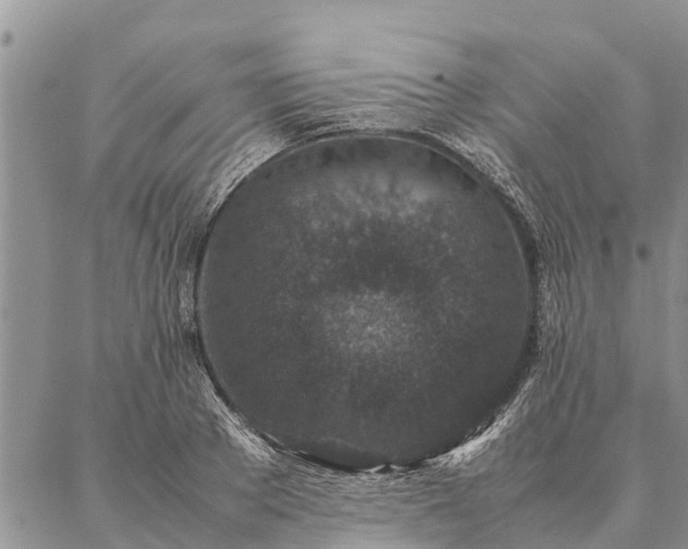 X0000086890889200704231125