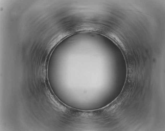 X0000086890890200704231125