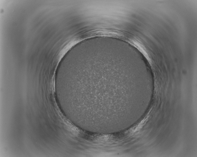 X0000086890891200704231125