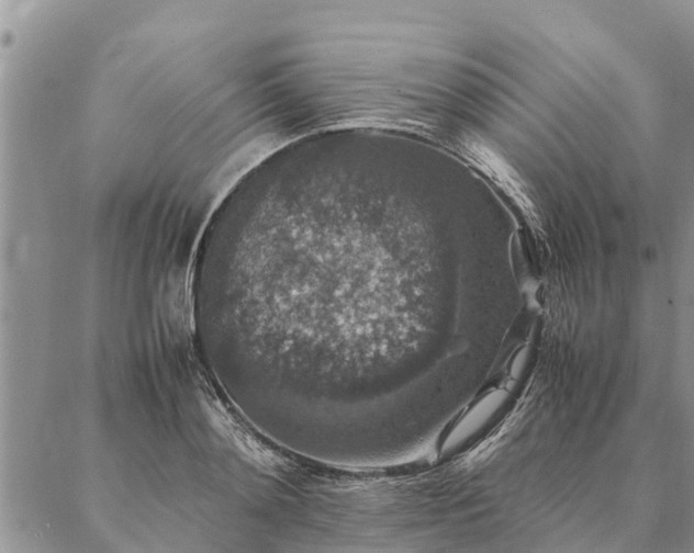 X0000086890892200704231125