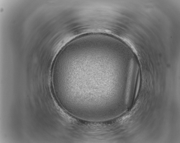 X0000086890895200704231125