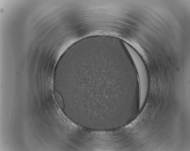 X0000086890896200704231125