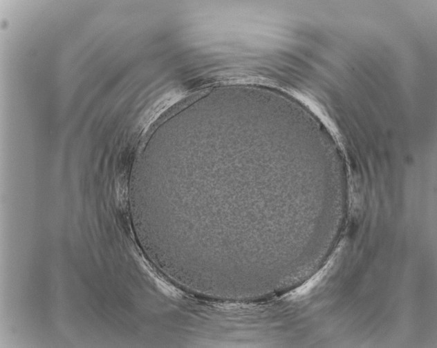 X0000086890897200704231125