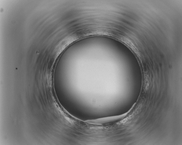 X0000086890898200704231125