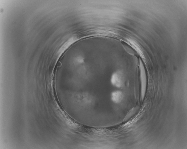 X0000086890899200704231125