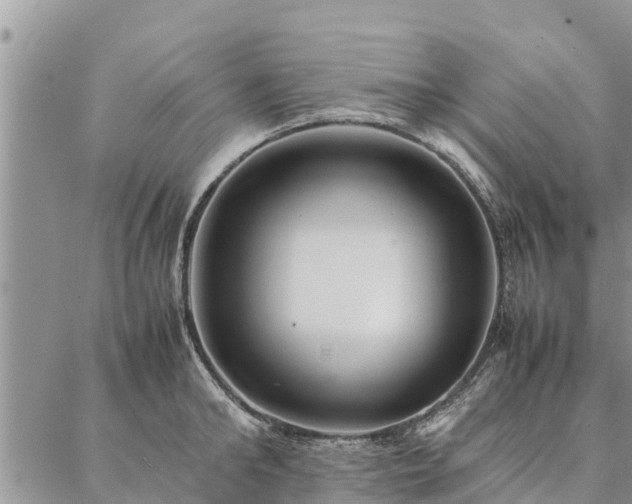 X0000086890902200704231125