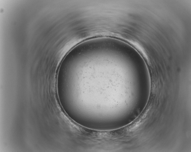 X0000086890903200704231125