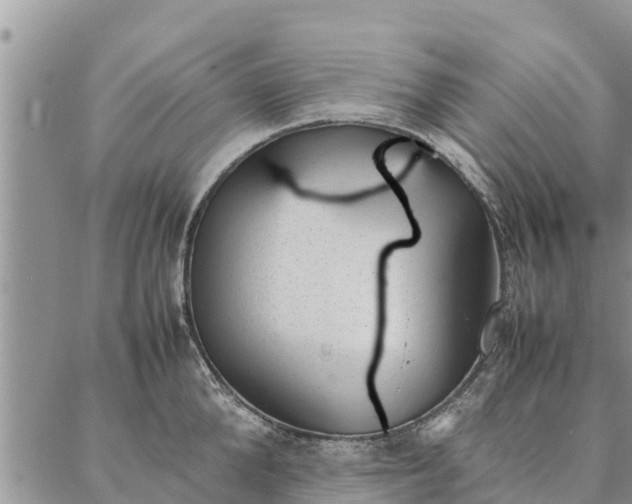 X0000086890904200704231125